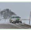 DSC_8641 Kopie